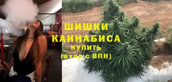 мяу мяу мука Аркадак