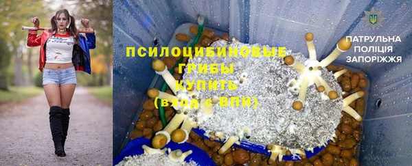 мяу мяу мука Аркадак