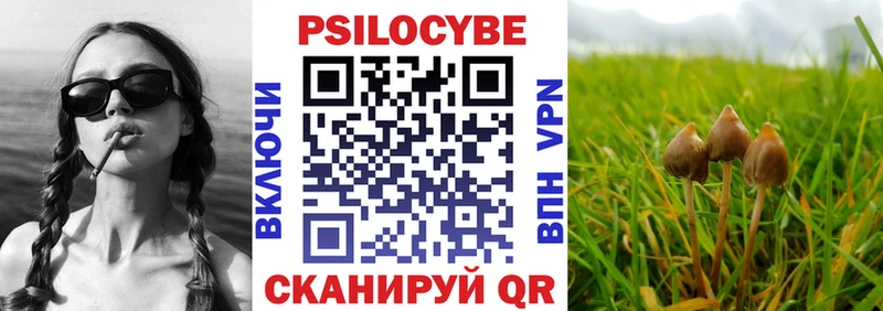 Псилоцибиновые грибы Cubensis  Пустошка 